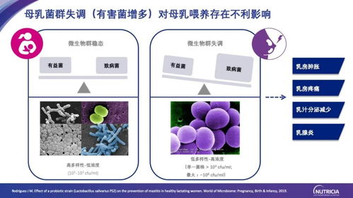 腸-乳腺軸研究新進展與健康產業應用前景